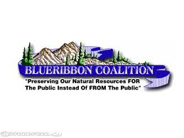 blue ribbon coalition