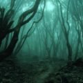 creepy forest 1
